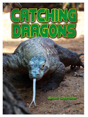 cover image of Catching Dragons
